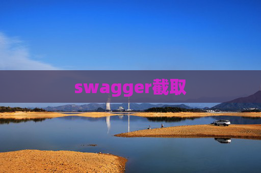 swagger截取